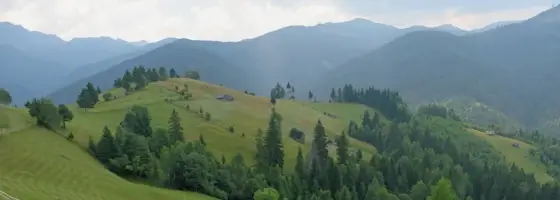 Vârful Colții Bisericuței